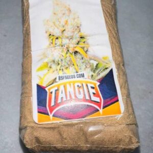 Tangie Hash