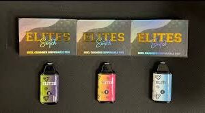 Elites Switch Disposable Vape